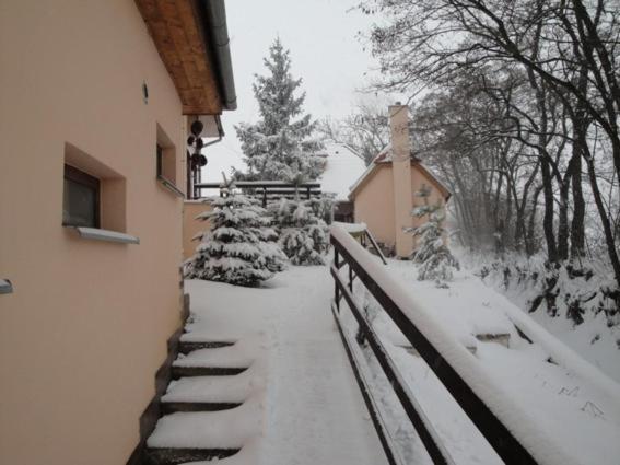 Penzion Nechorka Prusanky Exterior photo